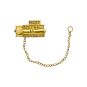 Past District Governor Gavel Guard (AJ109)