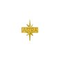 Astra Membership Lapel Tac - Gold Electroplate (AT100 GEP)