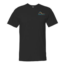 Unisex Jersey T (AG284 Black) *12 Pc Minimum - Mix & Match*