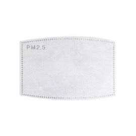 Face Mask Filter (AG299/F)